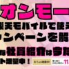 楽天モバイルで使えるキャンペーンを解説！超お得な社員紹介キャンペーンは2025年9月の今だけポイント増量実施中です！