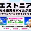エストニアに行くなら楽天モバイルが超お得！社員紹介キャンペーンでポイントもゲット！
