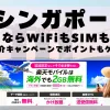 海外旅行ならWiFiもSIM不要！楽天モバイルで海外2GB無料！
