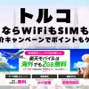 海外旅行ならWiFiもSIM不要！楽天モバイルで海外2GB無料！