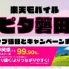 楽天モバイルのショップ情報とお店で使えるキャンペーン情報をまとめています！