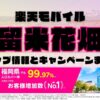 楽天モバイルのショップ情報とお店で使えるキャンペーン情報をまとめています！